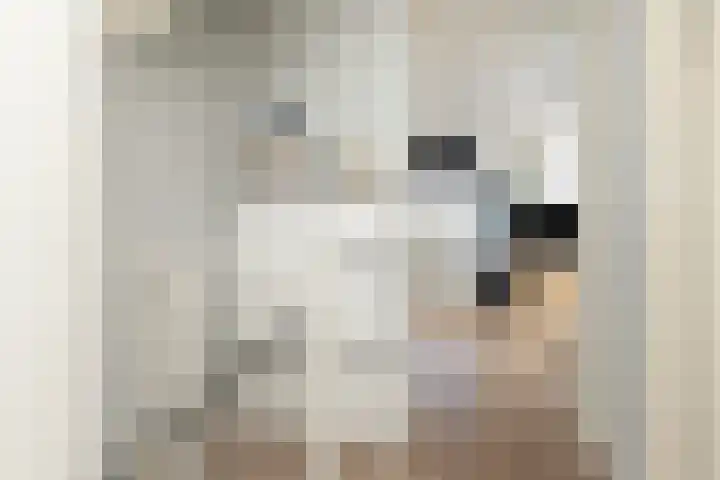 Ien Dalessingel 235 Zutphen thumbnail 21