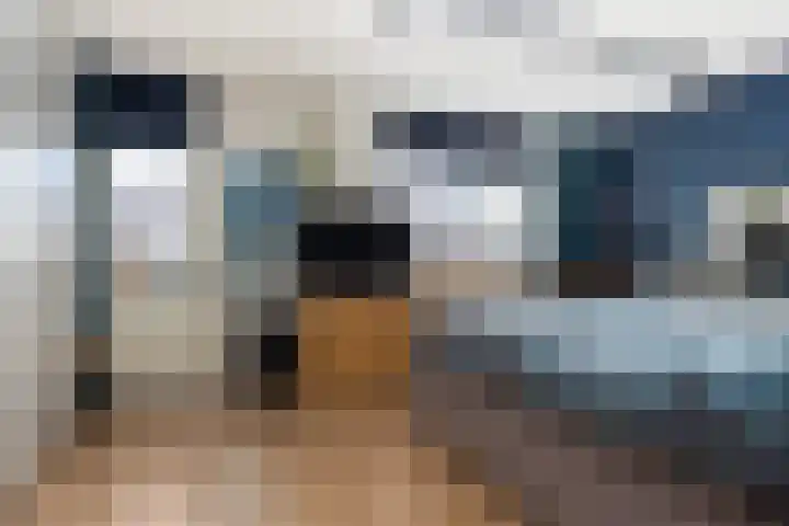 Ien Dalessingel 235 Zutphen thumbnail 22