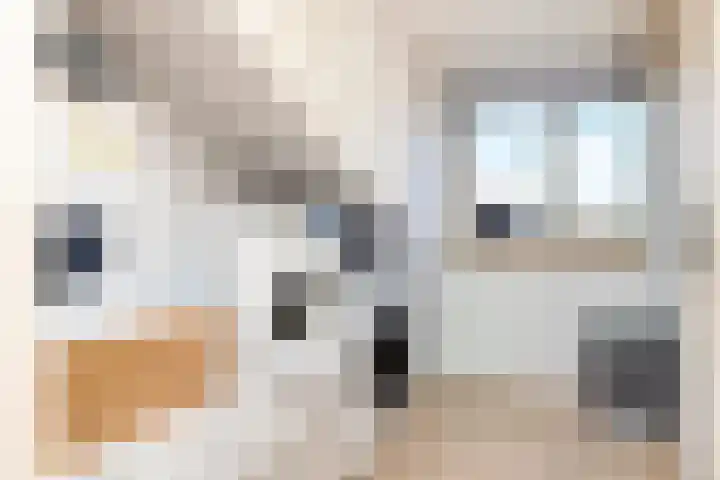 Ien Dalessingel 235 Zutphen thumbnail 27