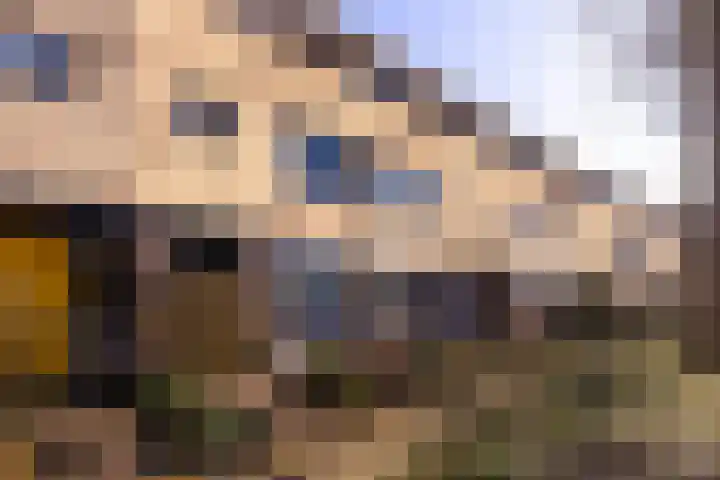 Ien Dalessingel 235 Zutphen thumbnail 4