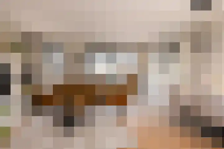 Ien Dalessingel 235 Zutphen thumbnail 8
