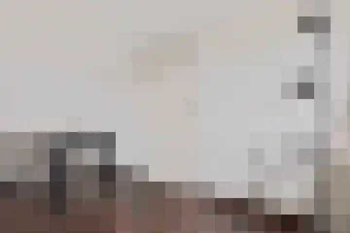 Iep 24 Best thumbnail 30