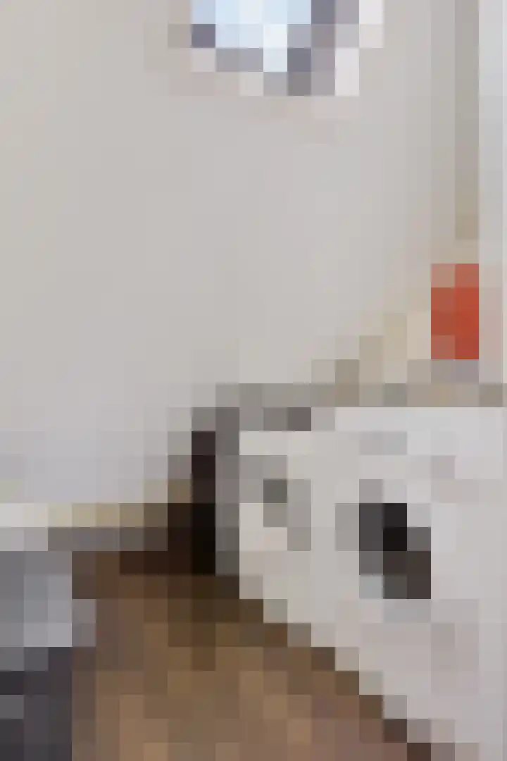 Iep 24 Best thumbnail 32