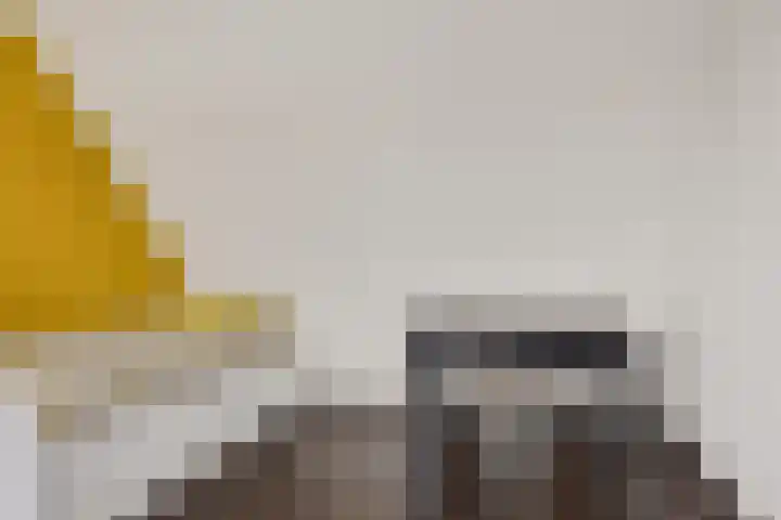 Iep 24 Best thumbnail 33