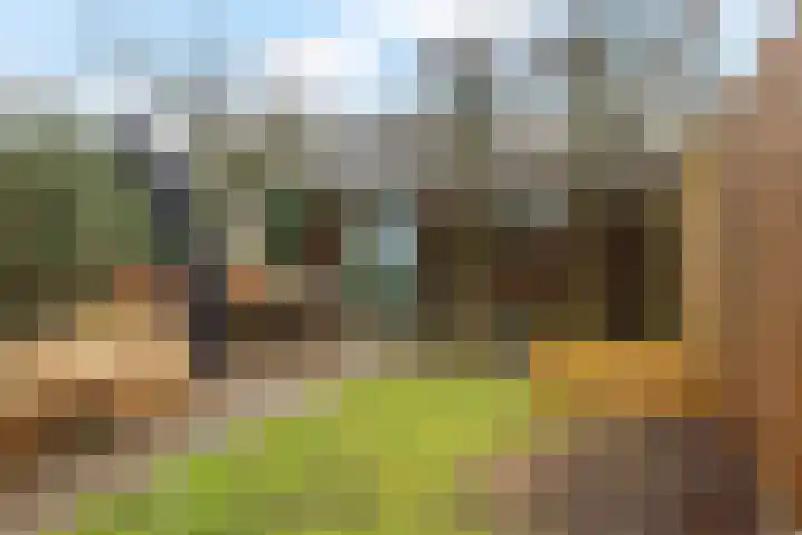 Iep 24 Best thumbnail 35