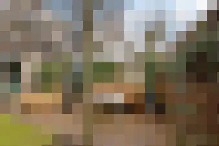 Iep 24 Best thumbnail 38