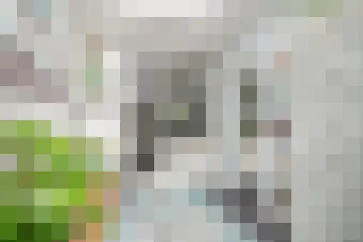 Iepengaard 8 Goirle thumbnail 11