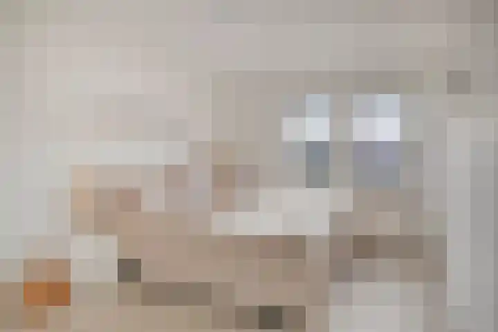 Iepengaard 8 Goirle thumbnail 21