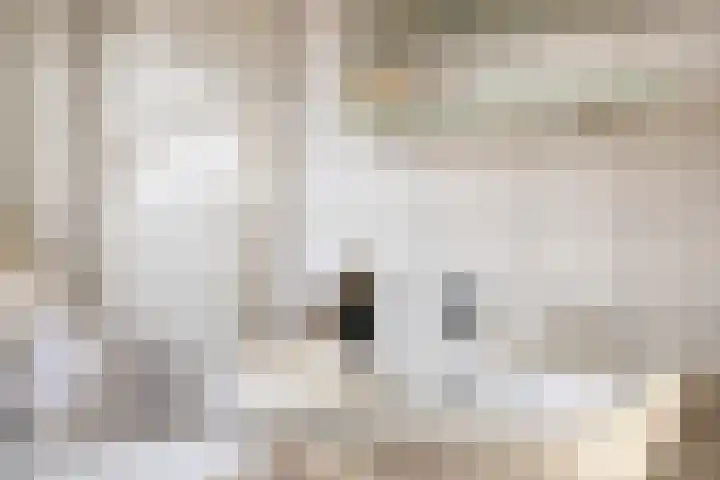 Iepengaard 8 Goirle thumbnail 27
