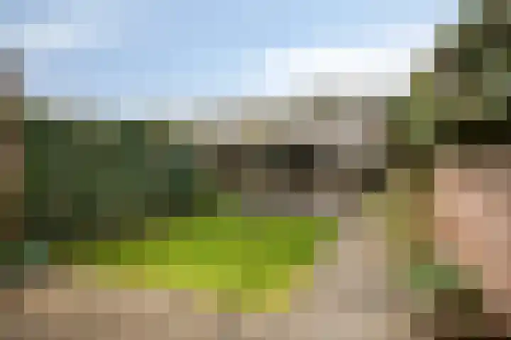 Iepengaard 8 Goirle thumbnail 35