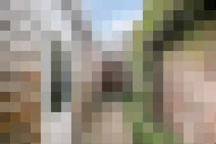 Iepengaard 8 Goirle thumbnail 41