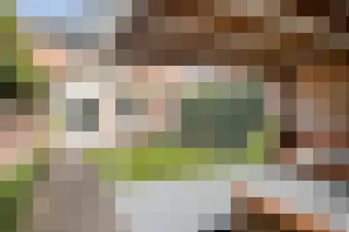 Iepengaard 8 Goirle thumbnail 44