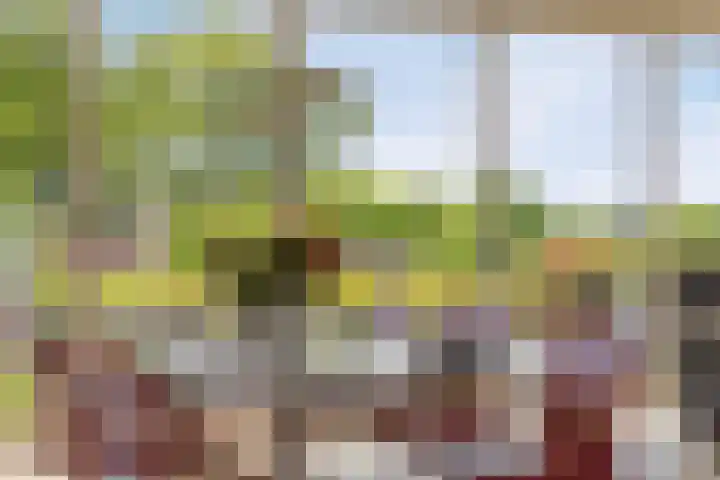 Iepenlaan 18 Bunde thumbnail 17