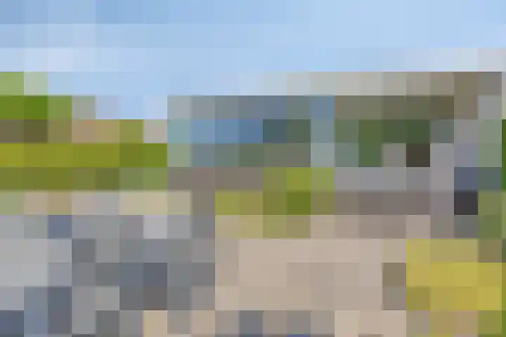 Iepenlaan 18 Bunde foto 3