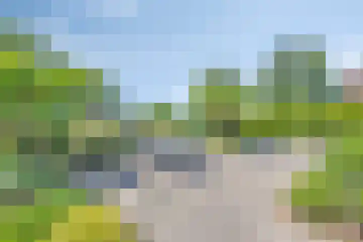 Iepenlaan 18 Bunde thumbnail 37