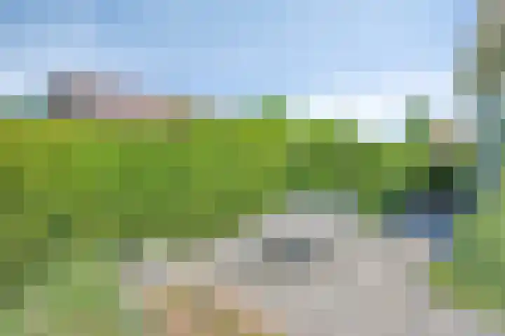 Iepenlaan 18 Bunde thumbnail 39
