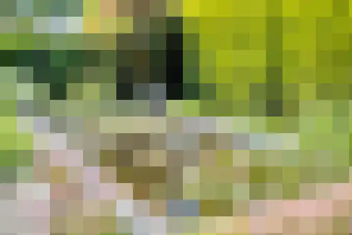 Iepenlaan 18 Bunde thumbnail 40