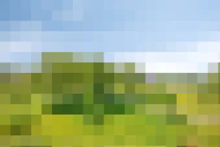 Iepenlaan 18 Bunde thumbnail 43