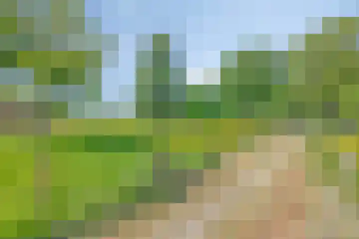 Iepenlaan 18 Bunde thumbnail 45