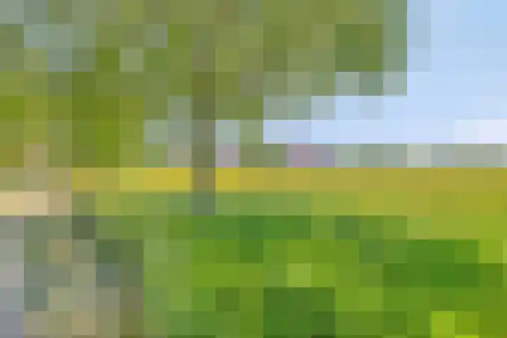 Iepenlaan 18 Bunde thumbnail 46