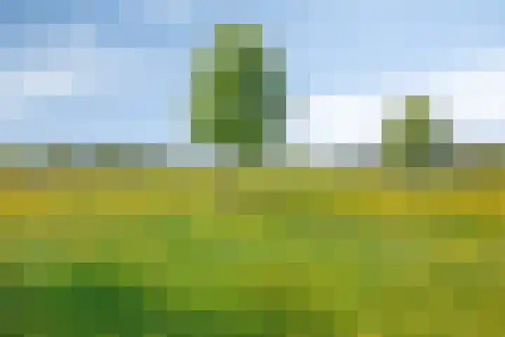 Iepenlaan 18 Bunde thumbnail 47
