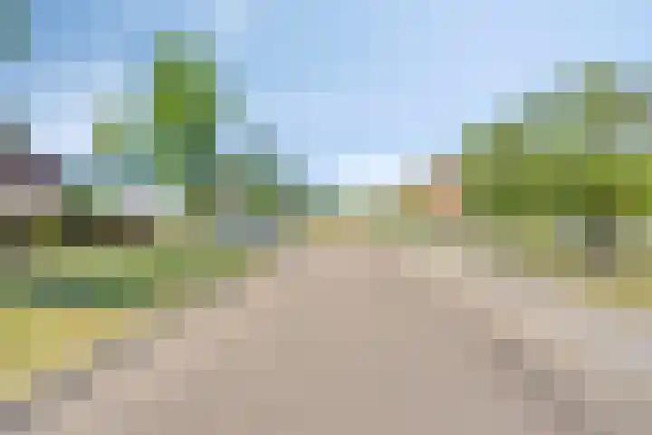 Iepenlaan 18 Bunde thumbnail 49
