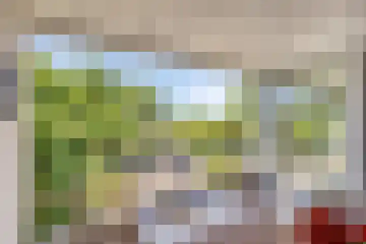 Iepenlaan 18 Bunde thumbnail 6