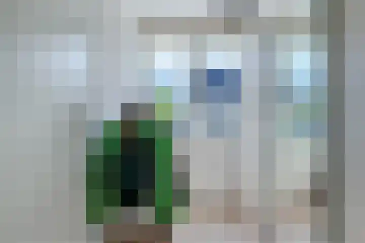 Iepenlaan 5 Dirksland thumbnail 23