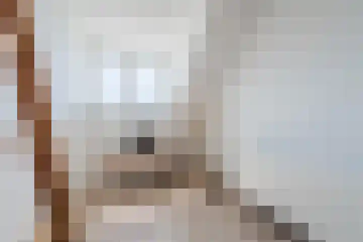 Iepenlaan 5 Dirksland thumbnail 34