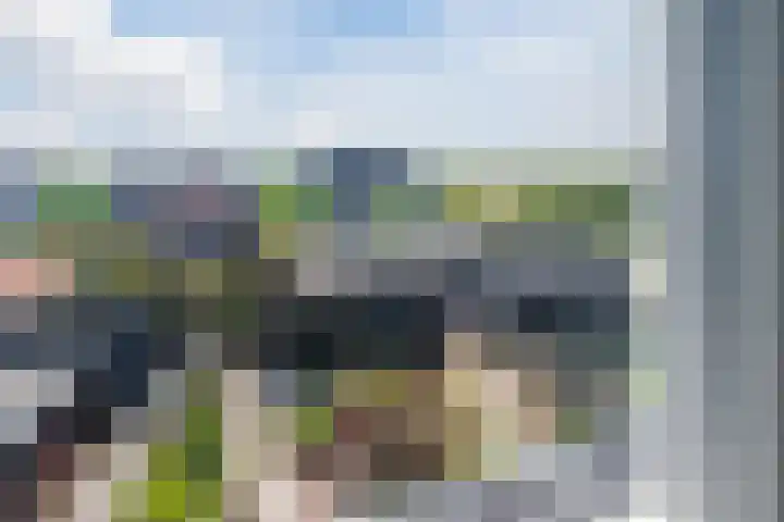Iepenlaan 5 Dirksland thumbnail 41