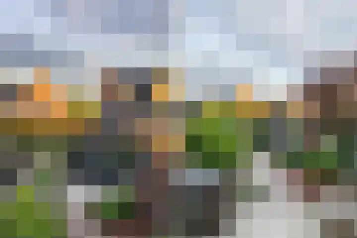 Iepenlaan 5 Dirksland thumbnail 44