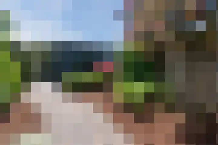 Iepenlaan 5 Dirksland thumbnail 47