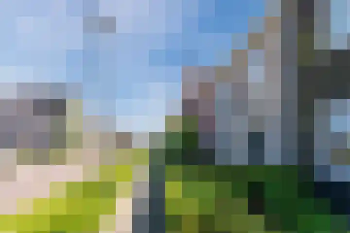 Iepenlaan 5 Dirksland thumbnail 5