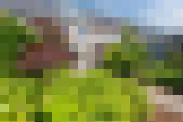 Iepenlaan 5 Dirksland thumbnail 50