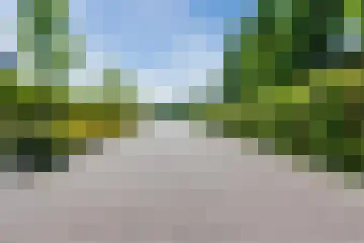 Iepenlaan 5 Dirksland thumbnail 52