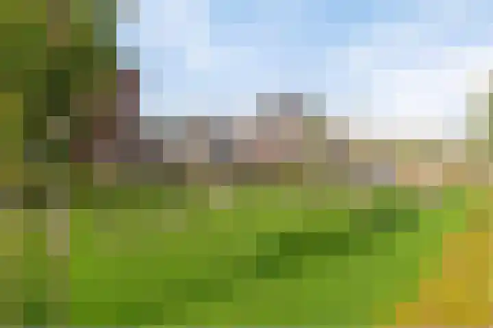Iepenlaan 5 Dirksland thumbnail 53