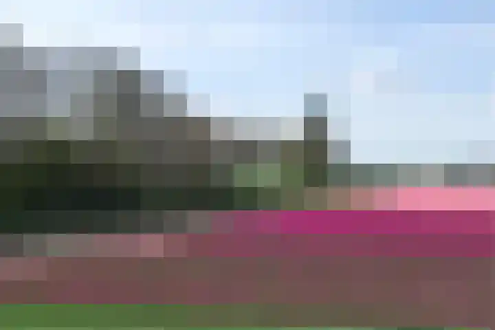 Iepenlaan 5 Dirksland thumbnail 54