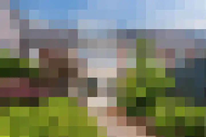 Iepenlaan 5 Dirksland thumbnail 7