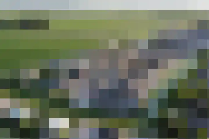 Iepenlaan 5 Dirksland thumbnail 9