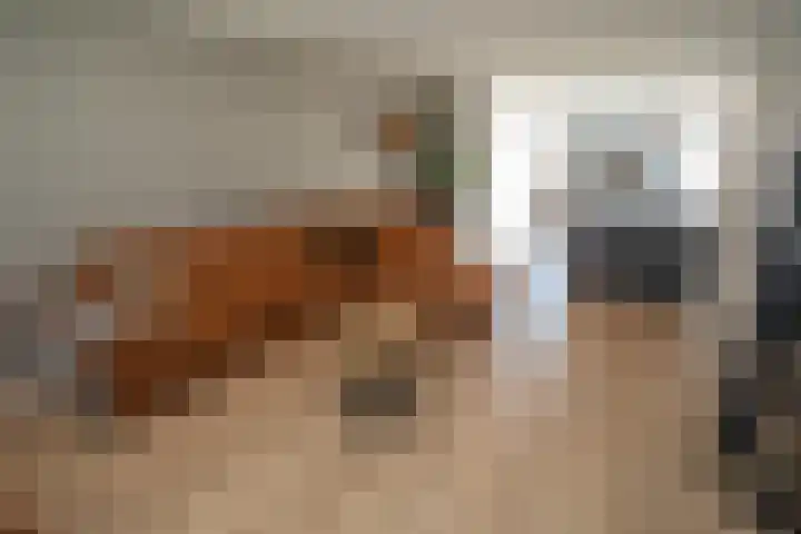 Iepenlaan 5 Wierden thumbnail 14
