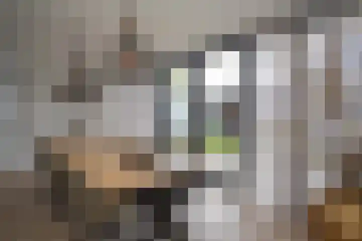 Iepenlaan 5 Wierden thumbnail 20