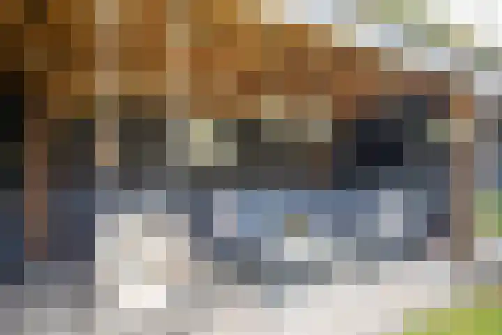 Iepenlaan 5 Wierden thumbnail 62