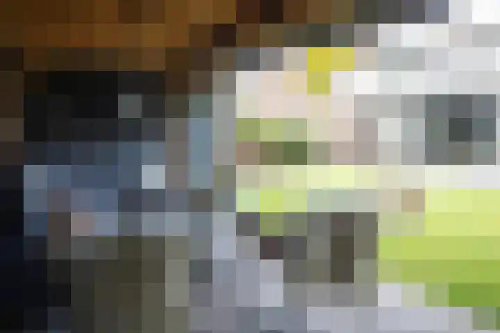 Iepenlaan 5 Wierden thumbnail 64