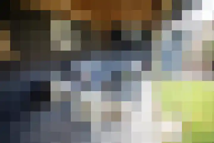 Iepenlaan 5 Wierden thumbnail 65