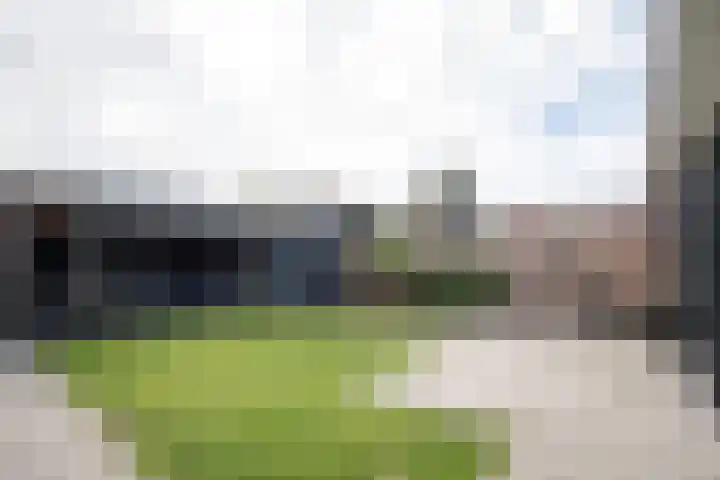 Iepenlaan 5 Wierden thumbnail 66