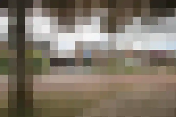 Iepenlaan 5 Wierden thumbnail 69