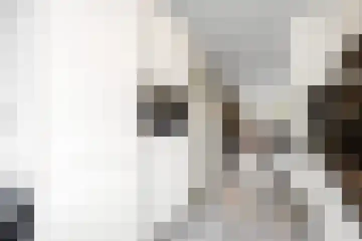 Iepenlaan 60 Duiven thumbnail 13