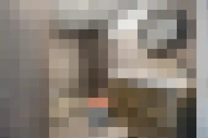 Iepenlaan 60 Duiven thumbnail 16