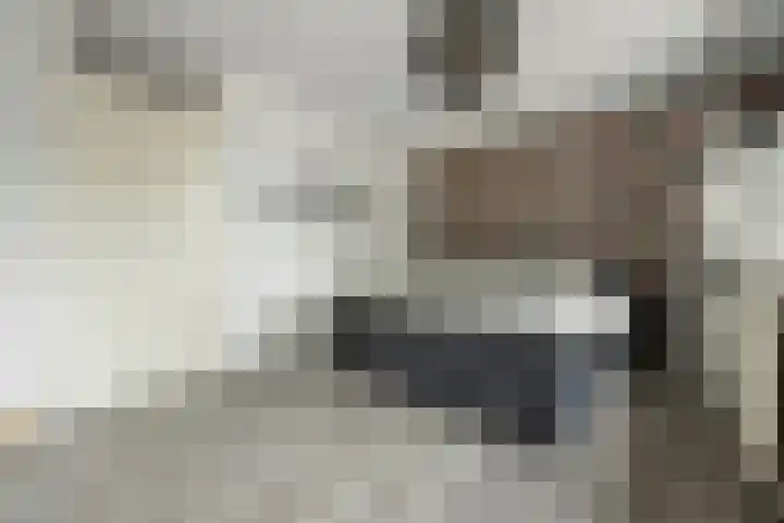 Iepenlaan 60 Duiven thumbnail 18