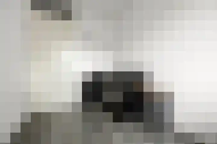 Iepenlaan 60 Duiven thumbnail 25